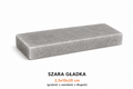 CEGŁA SOLNA SZARA GŁADKA 2,5X10X20