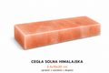 Cegła solna różowa gładka 2,5x10x20 cm – sól himalajska hurt – EDRASALT