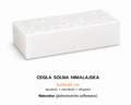 Cegła solna biała naturalna 5x10x20 cm – sól himalajska hurt – EDRASALT